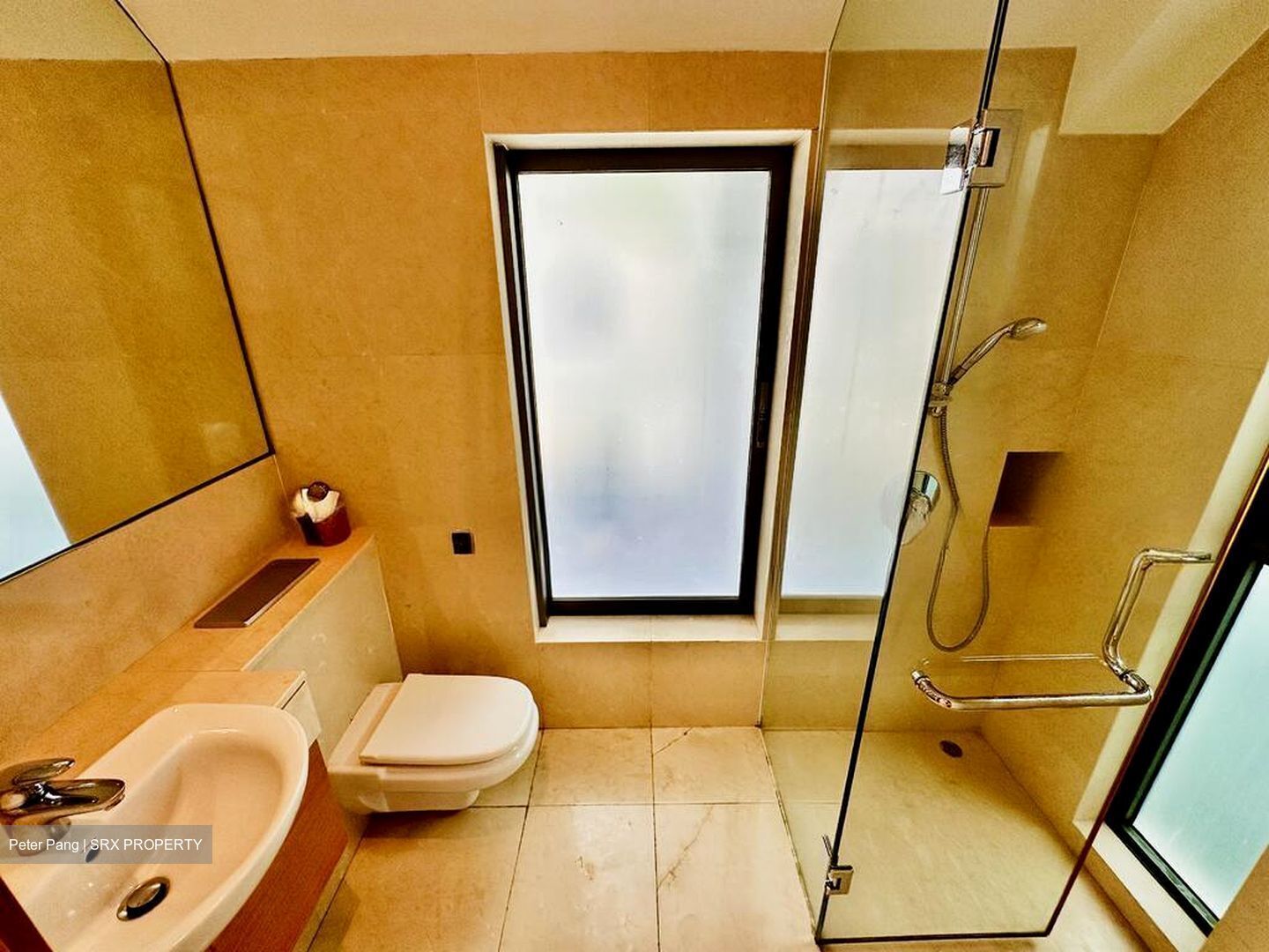 Henry Park (D10), Semi-Detached #518636301
